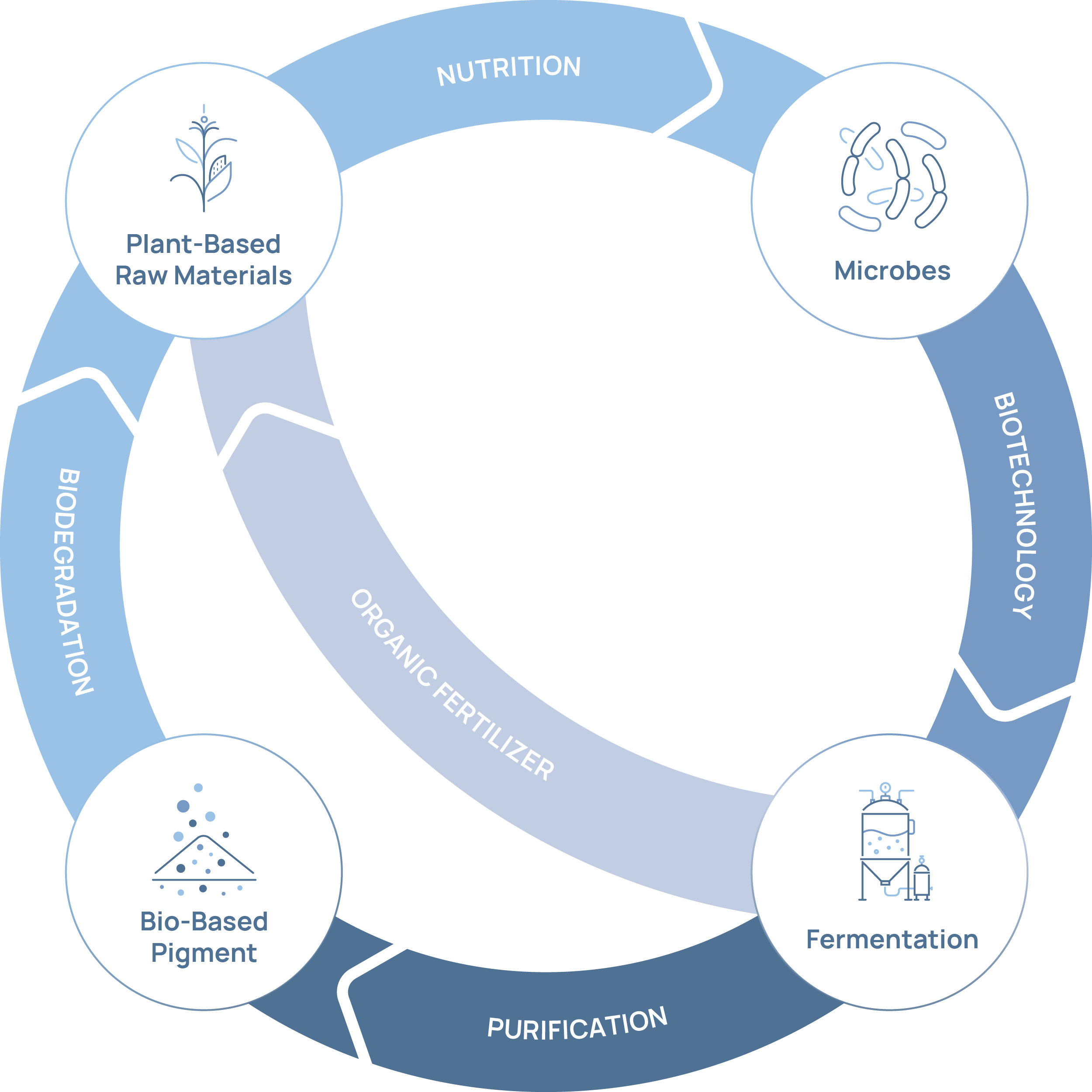 Bio-Circle process map from plant-based raw materials to microorganisms, bio-transformation, fermentation, purification, bio-based pigment and material application.